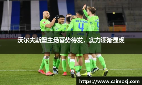 沃尔夫斯堡主场蓄势待发，实力逐渐显现