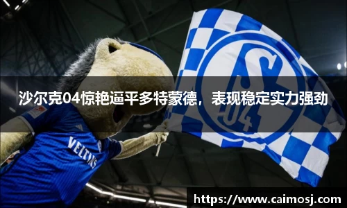 沙尔克04惊艳逼平多特蒙德，表现稳定实力强劲