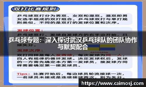 乒乓球专题：深入探讨武汉乒乓球队的团队协作与默契配合
