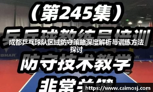成都乒乓球队区域防守策略深度解析与训练方法探讨