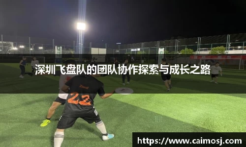 深圳飞盘队的团队协作探索与成长之路