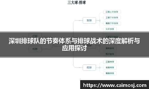 深圳排球队的节奏体系与排球战术的深度解析与应用探讨