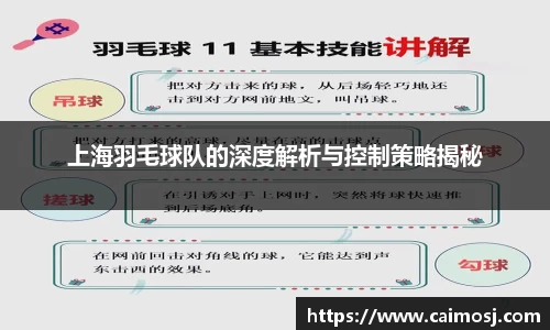 上海羽毛球队的深度解析与控制策略揭秘