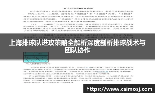 上海排球队进攻策略全解析深度剖析排球战术与团队协作