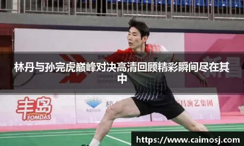 林丹与孙完虎巅峰对决高清回顾精彩瞬间尽在其中